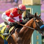 Secured Freedom - Affirmed Stakes - Santa Anita Park - Benoit Photo