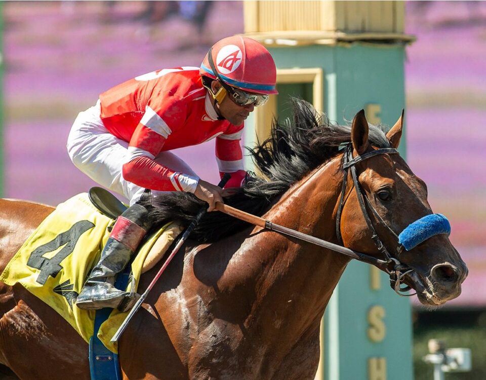 Secured Freedom - Affirmed Stakes - Santa Anita Park - Benoit Photo