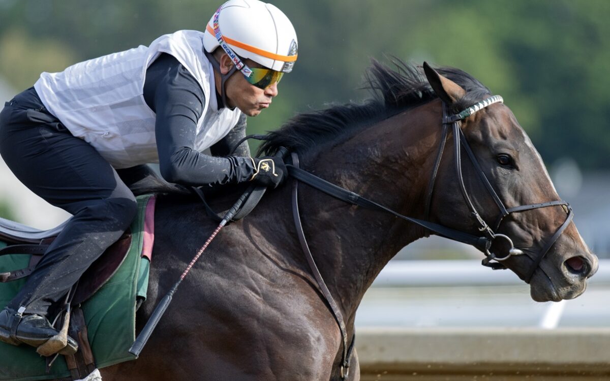 Sovereignty - Barbara D. Livingston - Daily Racing Form