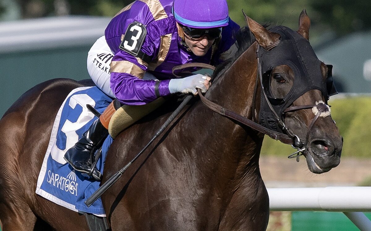 Tawny Port - Barbara D. Livingston - Daily Racing Form
