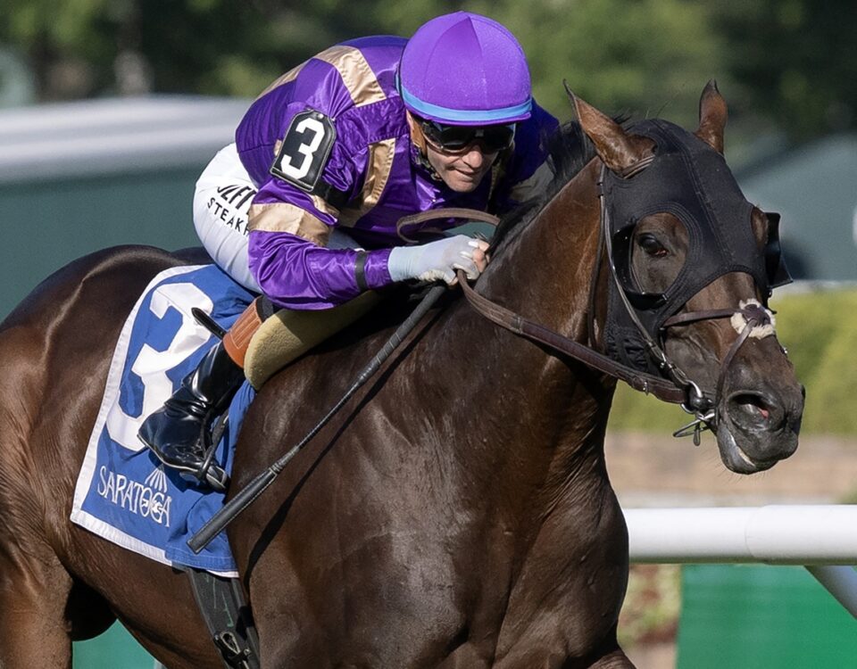 Tawny Port - Barbara D. Livingston - Daily Racing Form
