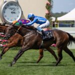 Venetian Sun - Julie Wright - Daily Racing Form