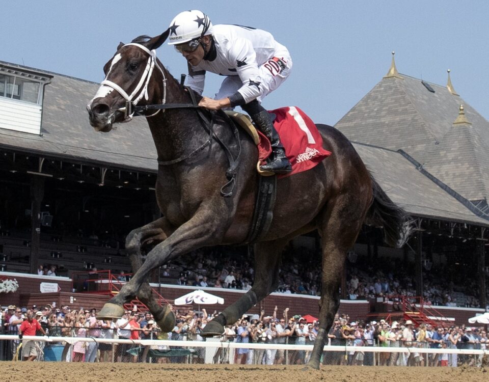 Saratoga Race Course - Barbara D. Livingston - Daily Racing Form