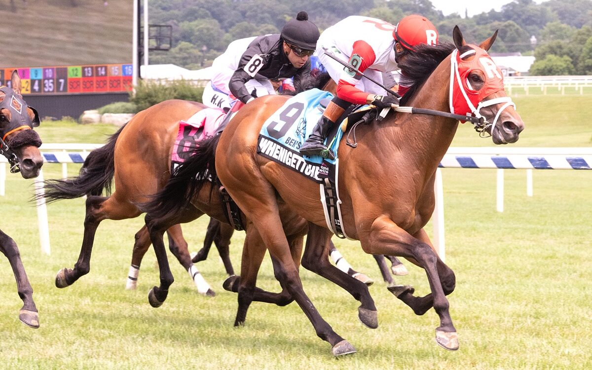 Whenigettoheaven - Jerry Dzierwinski - Maryland Jockey Club