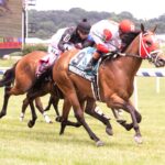 Whenigettoheaven - Jerry Dzierwinski - Maryland Jockey Club