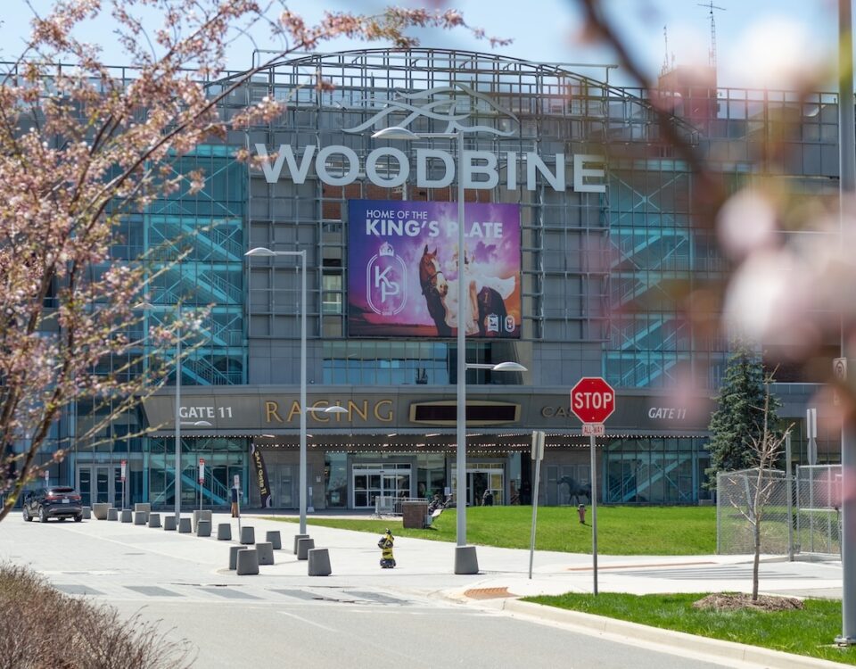 Woodbine-Julie-Wright-Daily-Racing-Form.jpg