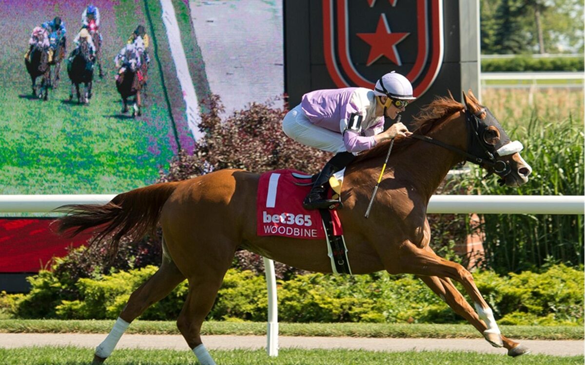 Miss Vyvyanne - Highlander Stakes G2 - Credit: Michael Burns - Woodbine
