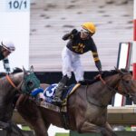 Baby Vino - Grade I Haskell Stakes $1M - at Monmouth Park - Photo By Taylor Ejdys/EQUI-PHOTO