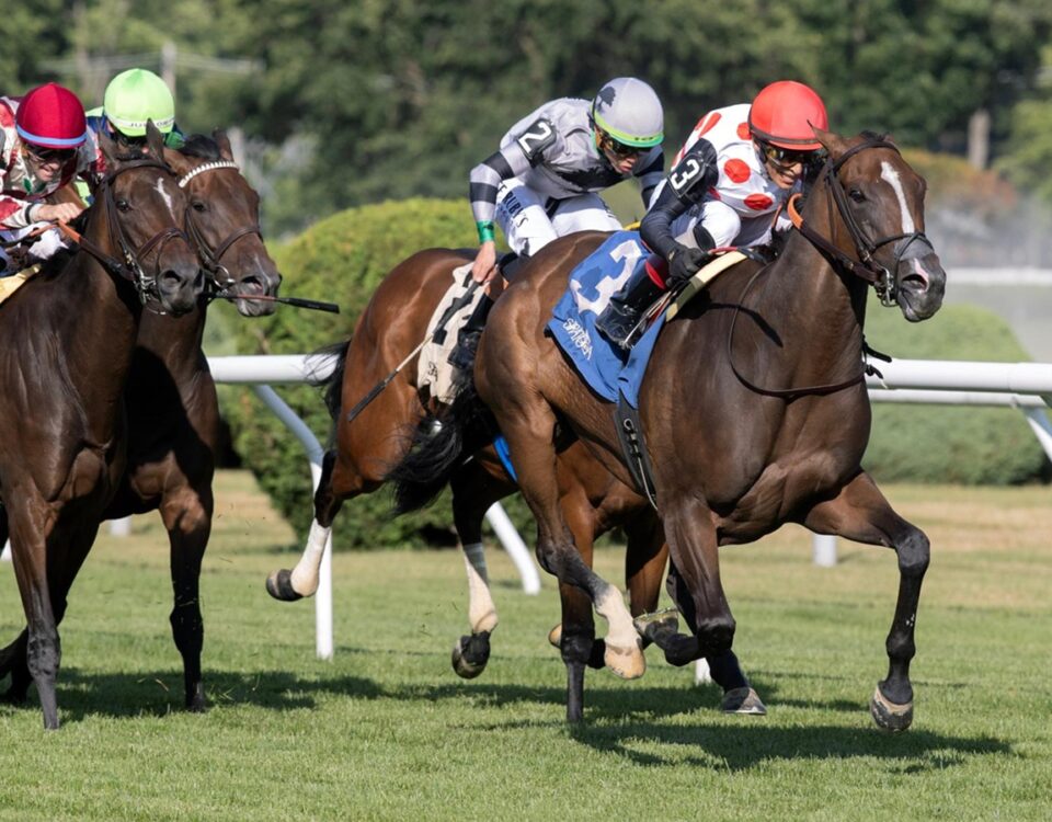 And One More Time - De La Rose Stakes - Barbara D. Livingston - Daily Racing Form