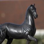 Breeders' Cup - Barbara D. Livingston - Daily Racing Form