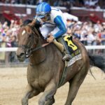 Book'em Danno - Debbie Roma - Daily Racing Form
