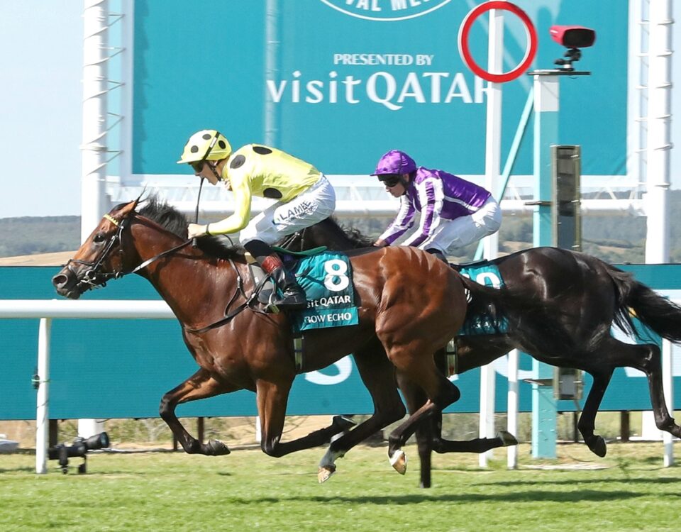 Bow Echo - Visit Qatar Sussex Stakes Group 1 - Goodwood Racecouse - Renee Torbit - Coady Photo