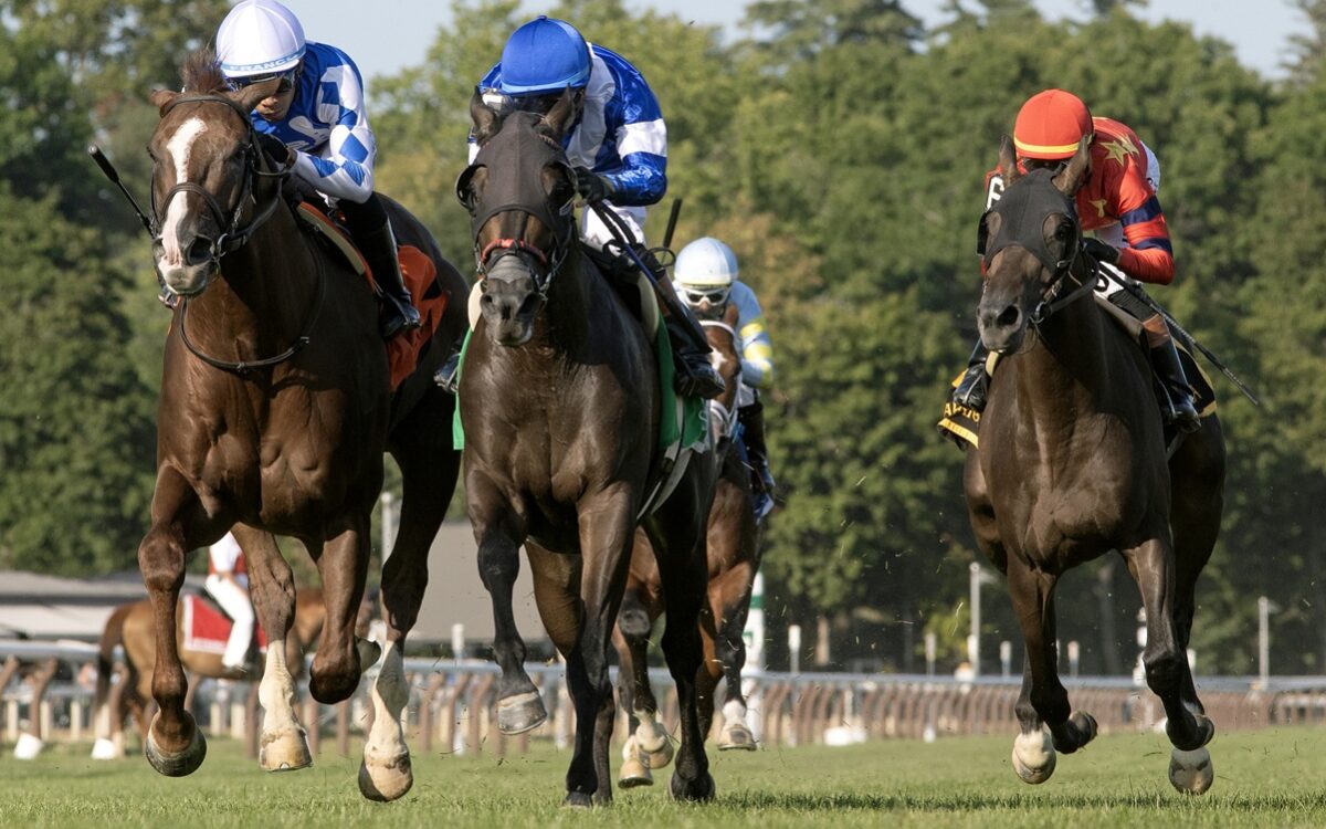 Chummers - Barbara D. Livingston - Daily Racing Form
