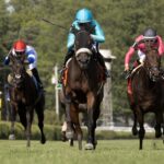 Cosmic Candy Girl - the Suzie O'Cain - Barbara D. Livingston - Daily Racing Form