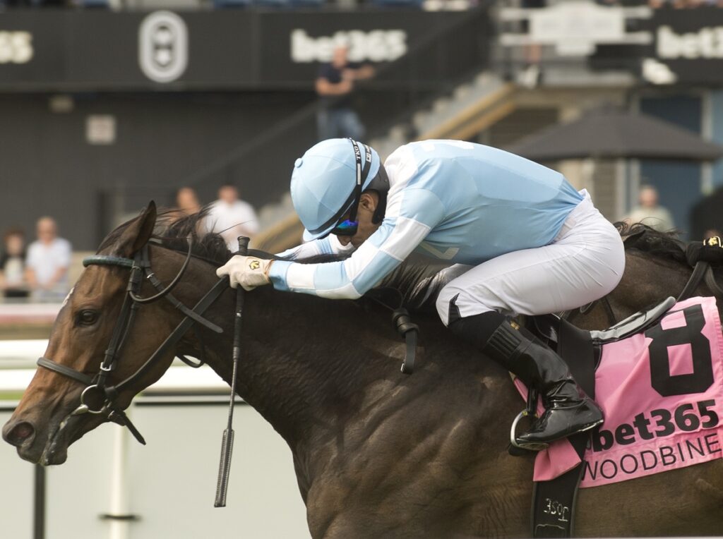 Dakotah Blue - (Grade III) $175,000 Ontario Colleen Stakes - Woodbine/ Michael Burns Photo