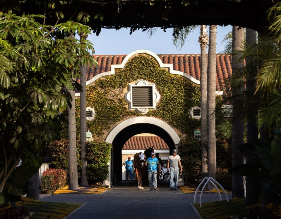 Del Mar - Barbara D. Livingston - Daily Racing Form