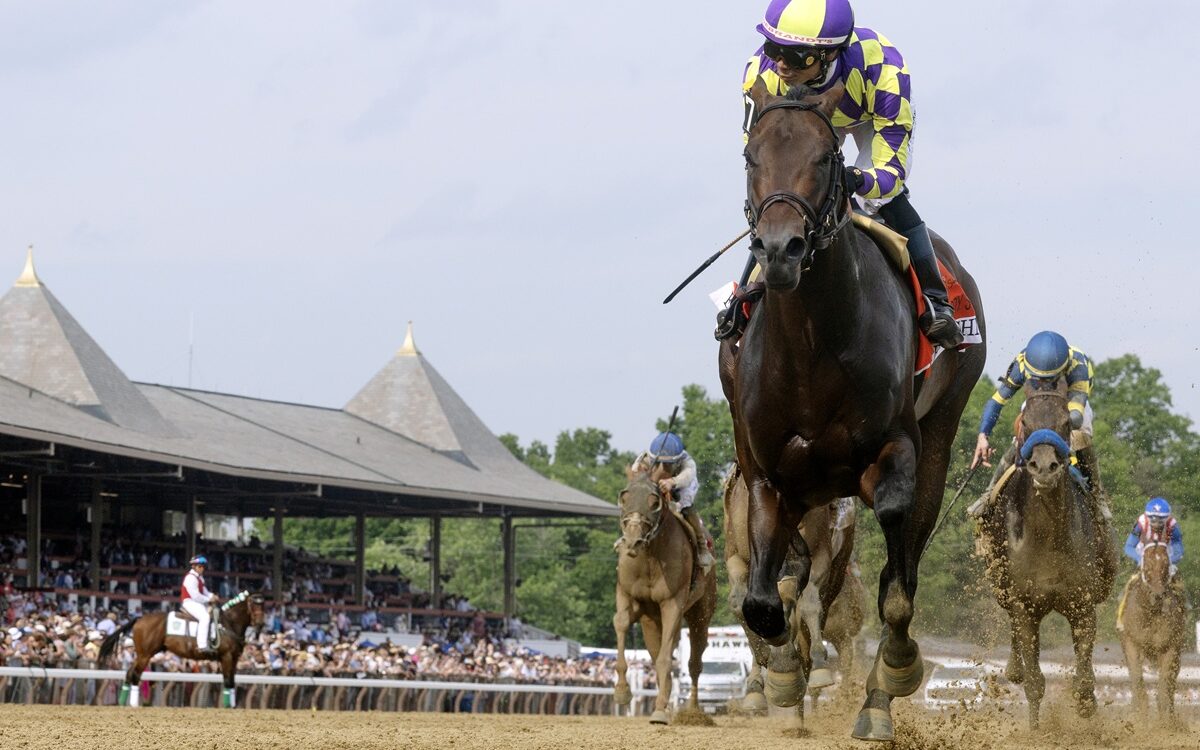 Englishman - Barbara D. Livingston - Daily Racing Form