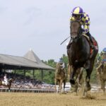 Englishman - Barbara D. Livingston - Daily Racing Form