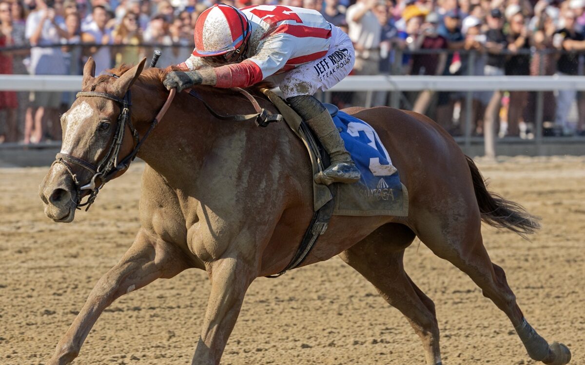 Fully Subscribed - Barbara D. Livingston - Daily Racing Form