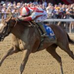 Fully Subscribed - Barbara D. Livingston - Daily Racing Form