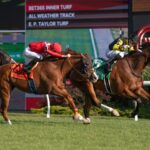 Woodbine - Julie Wright - Daily Racing Form
