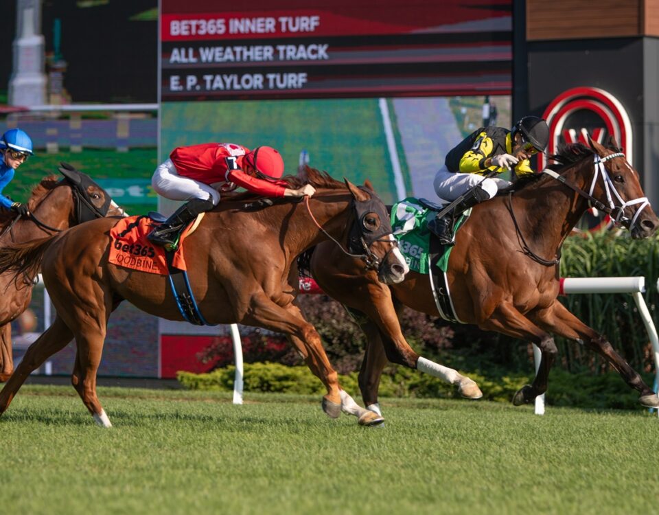 Woodbine - Julie Wright - Daily Racing Form