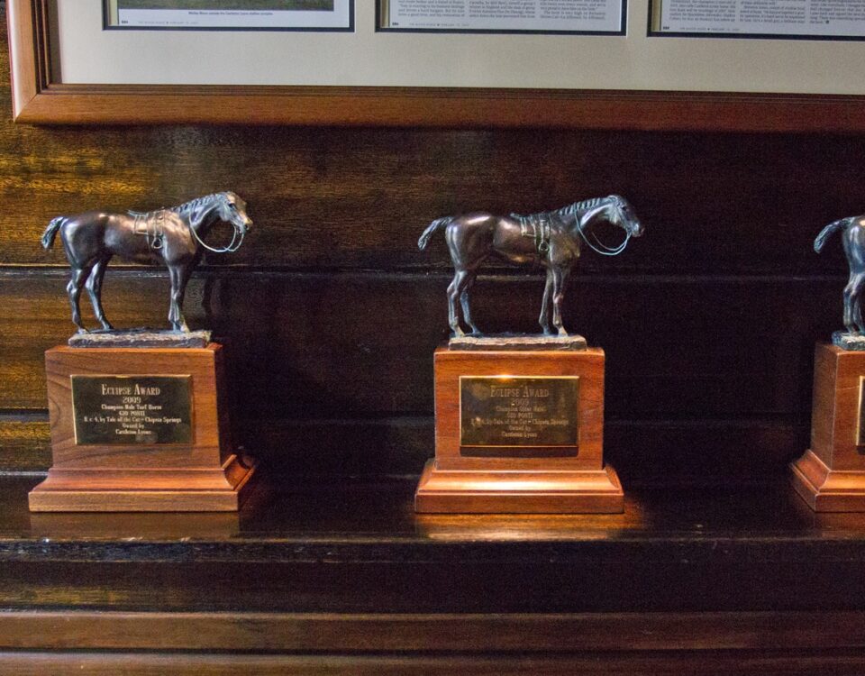 Eclipse Award trophy - Barbara D. Livingston - Daily Racing Form