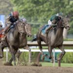 Golden Tempo & Commandment - Barbara D. Livingston - Daily Racing Form