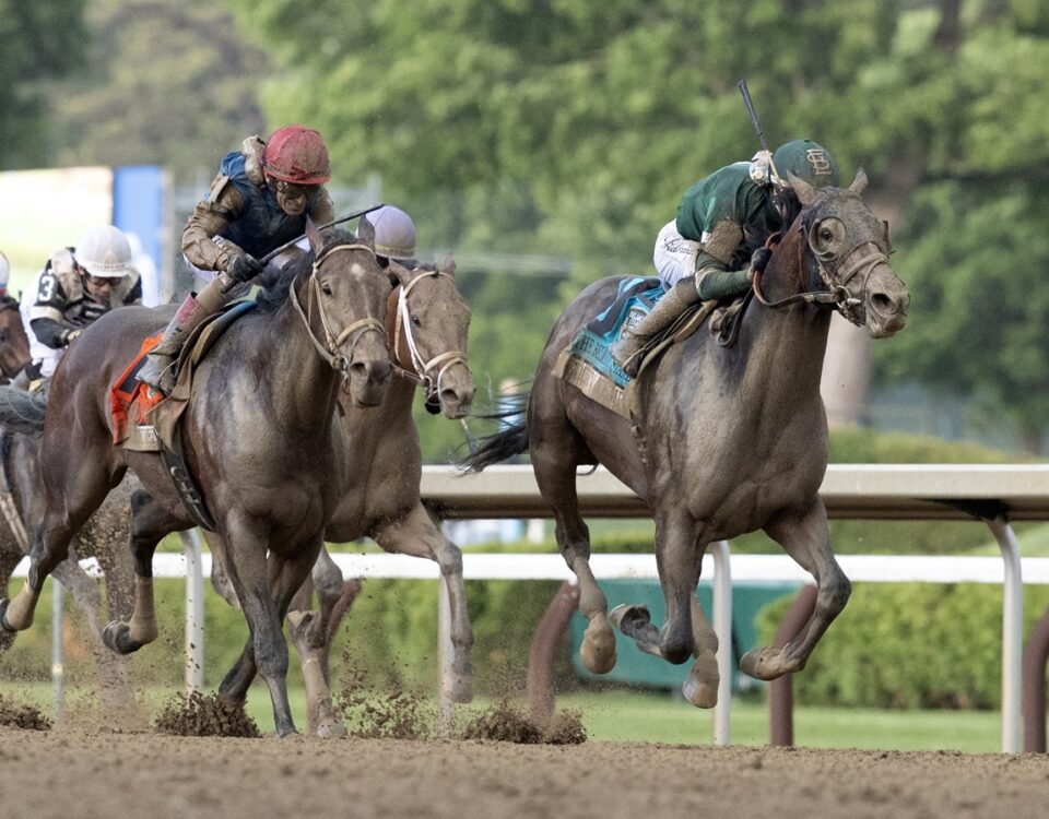 Golden Tempo & Commandment - Barbara D. Livingston - Daily Racing Form