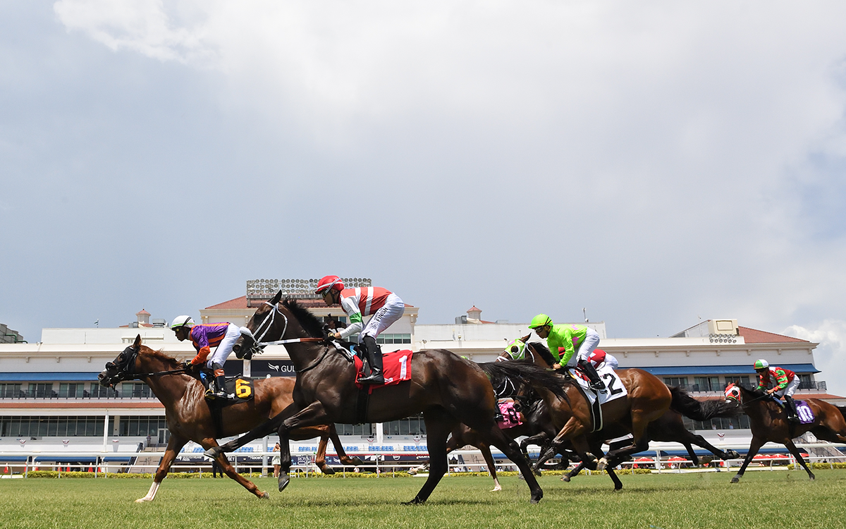 Gulfstream turf racing - Ryan Thompson - Coglianese Photo