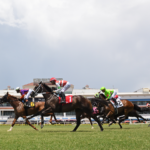 Gulfstream turf racing - Ryan Thompson - Coglianese Photo