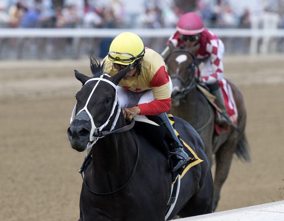 Harper's Corner - Barbara D. Livingston - Daily Racing Form