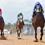 Hot Rod Honey - Sharp Susan Stakes - Gulfstream Park - credit Ryan Thompson - Coglianese Photo
