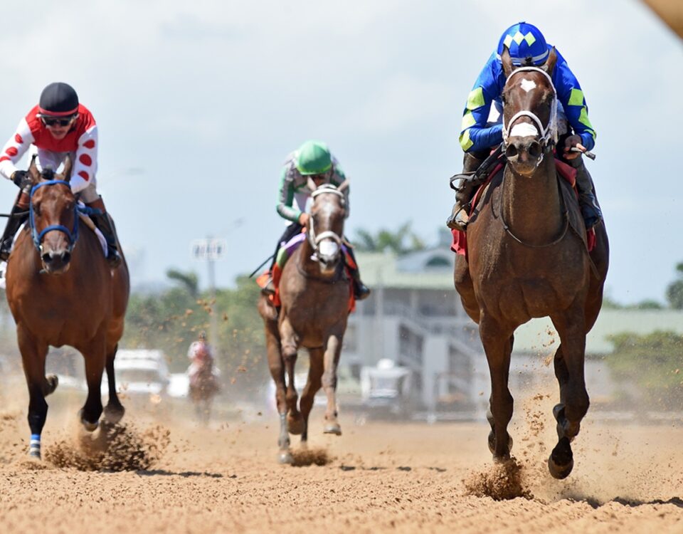 Hot Rod Honey - Sharp Susan Stakes - Gulfstream Park - credit Ryan Thompson - Coglianese Photo