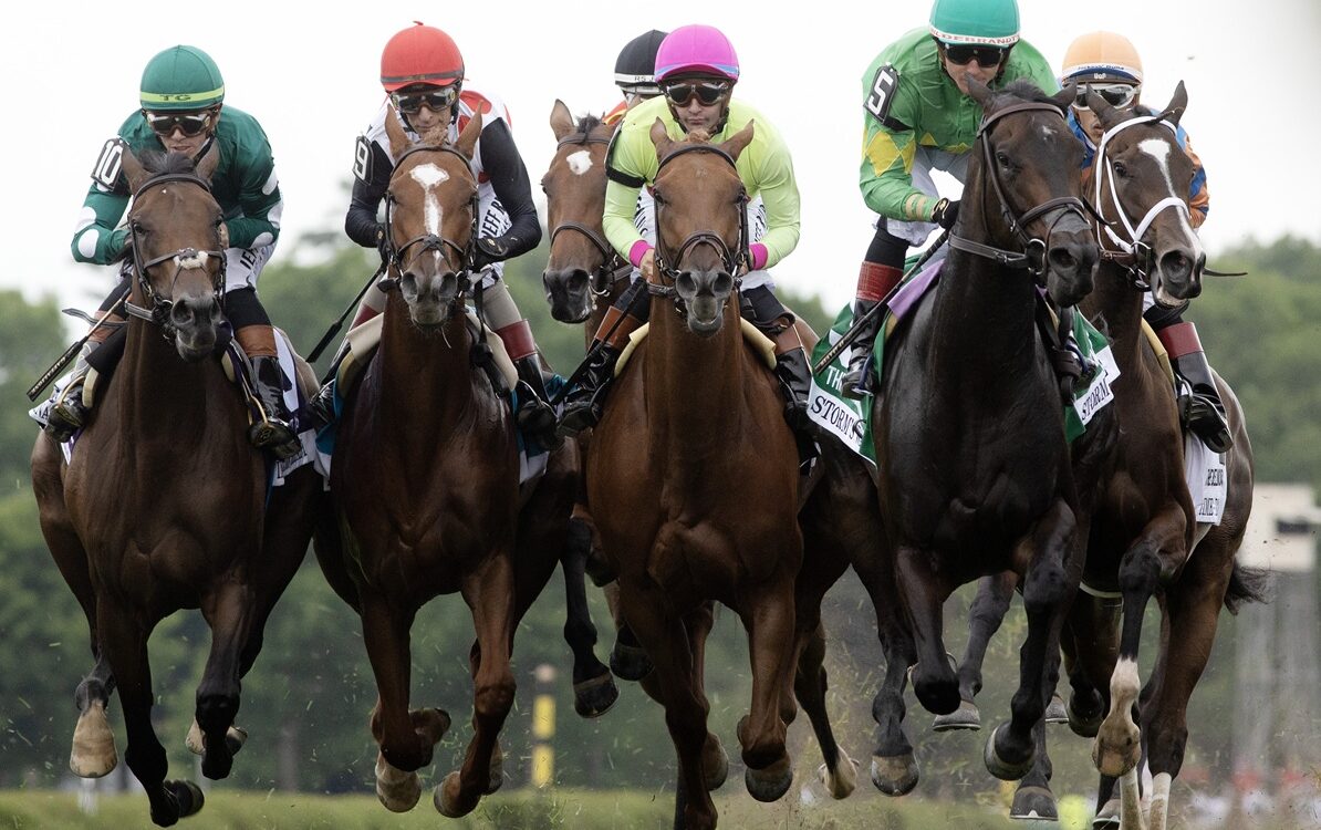Saratoga 2026 - Barbara D. Livingston - Daily Racing Form