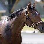 Journalism - Barbara D. Livingston - Daily Racing Form