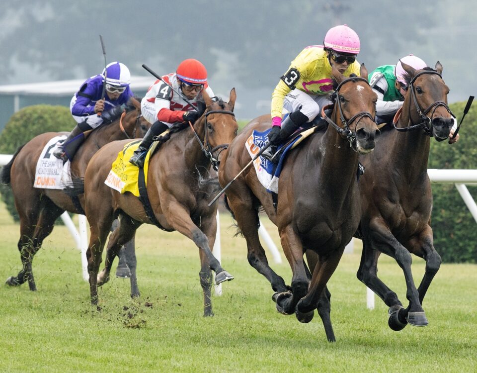 Kathynmarissa - Diana G1 - Barbara D. Livingston - Daily Racing Form