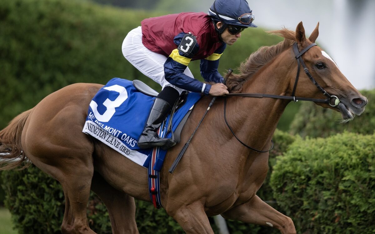 Kensington Lane (Ire) - Barbara D. Livingston - Daily Racing Form