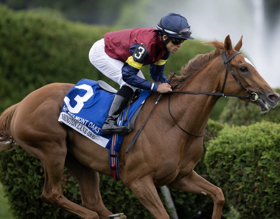 Kensington Lane (Ire) - Barbara D. Livingston - Daily Racing Form