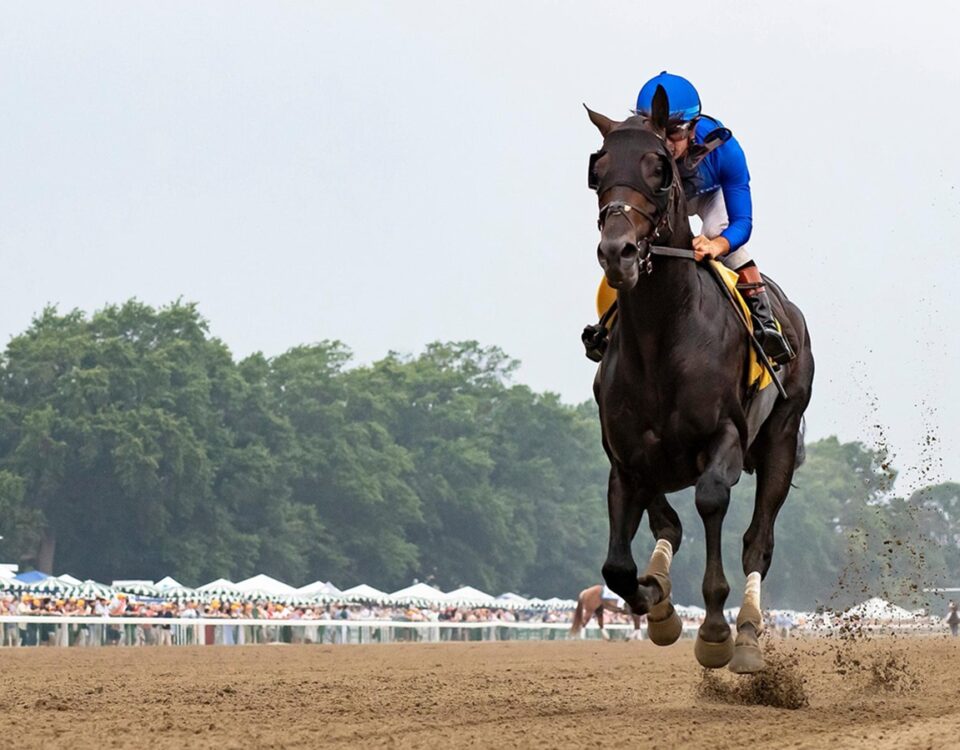 Knightsbridge – Monmouth Park Racetrack – Photo By Ryan Denver/EQUI-PHOTO