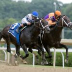 Local Knowledge - Amsterdam Stakes G2 - Saratoga - Barbara D. Livingston - Daily Racing Form