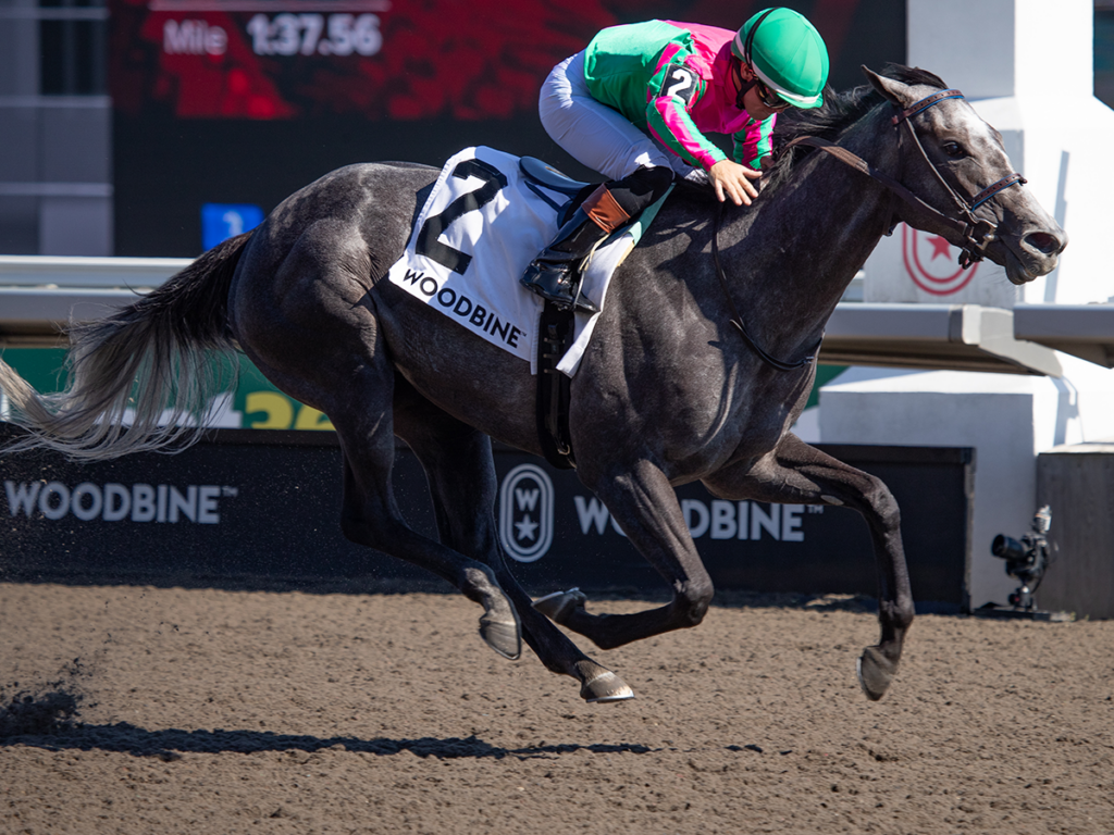 Woodbine - Julie Wright - Daily Racing Form