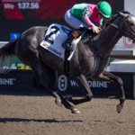 Woodbine - Julie Wright - Daily Racing Form