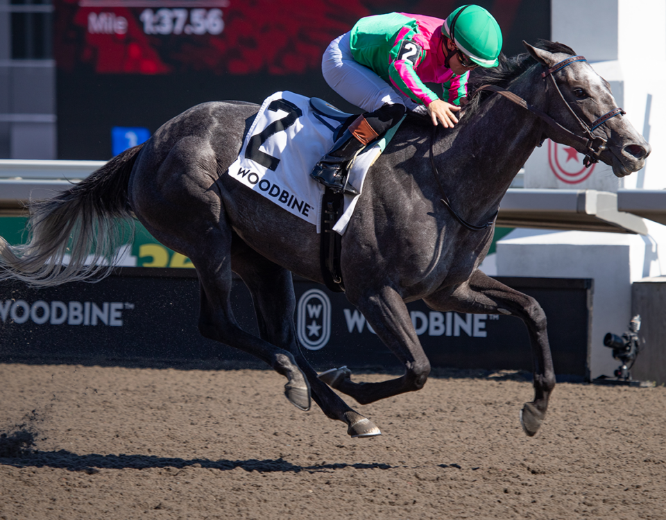 Woodbine - Julie Wright - Daily Racing Form