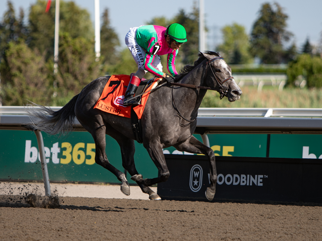 Luster - Woodbine Oaks - Julie Wright - Daily Racing From