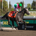 Luster - Woodbine Oaks - Julie Wright - Daily Racing From