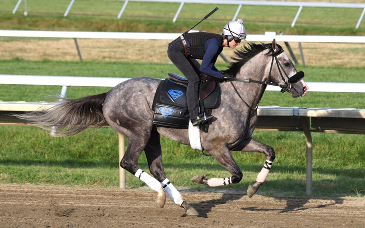 Napoleon Solo - Equi-Photo