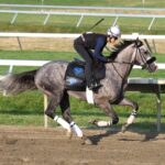 Napoleon Solo - Equi-Photo