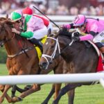 Ole Crazy Bone - Bowling Green Stakes G2 - Saratoga - Debbie Roma - Daily Racing Form