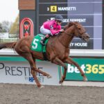 Paramount Prince - Julie Wright - Daily Racing Form